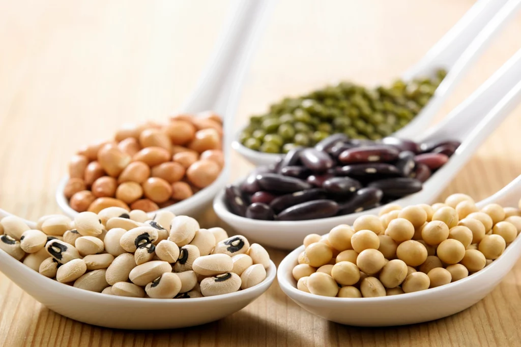 Beans and Legumes