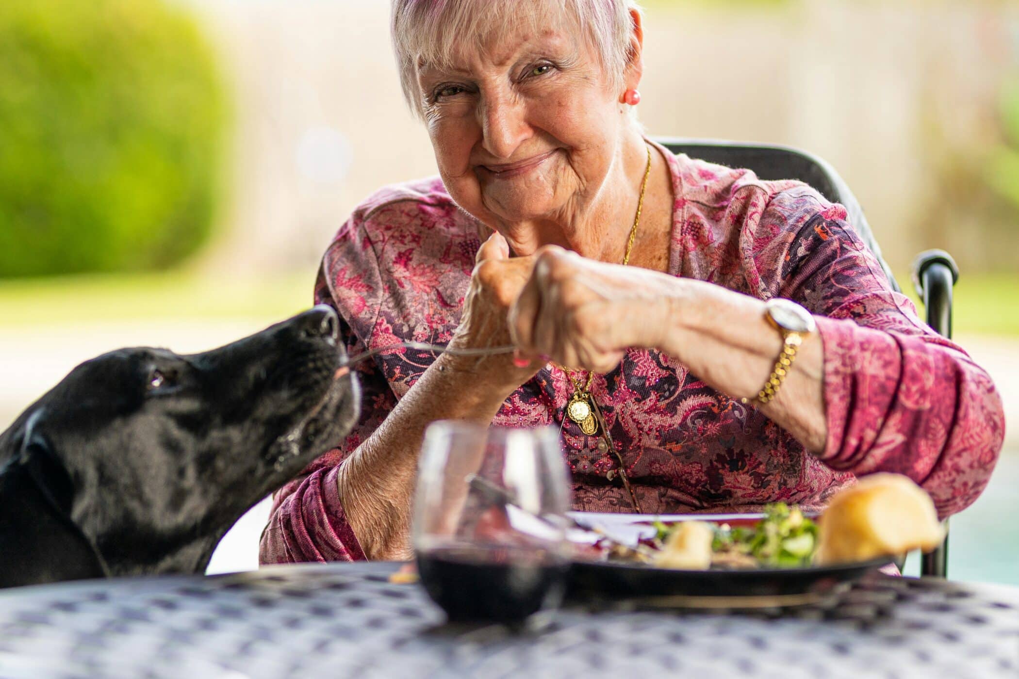 Meal Delivery Services for Seniors
