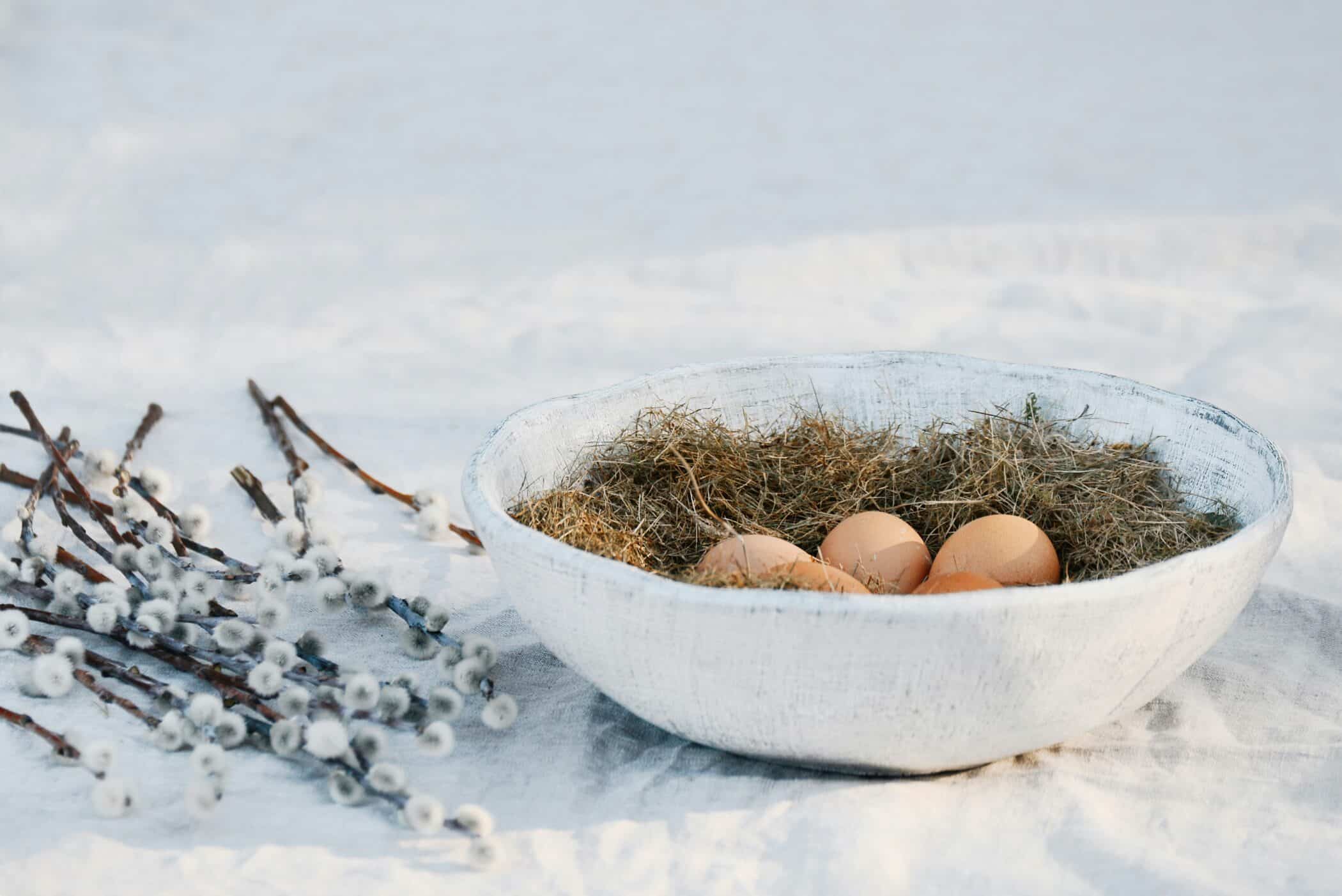 12 Best Paleo Food Recipes for Winter