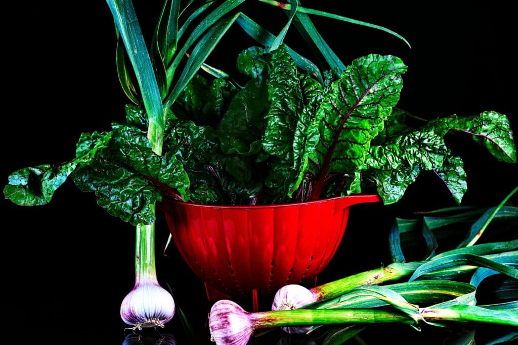 A Plant-based Diet in Cancer Treatment
