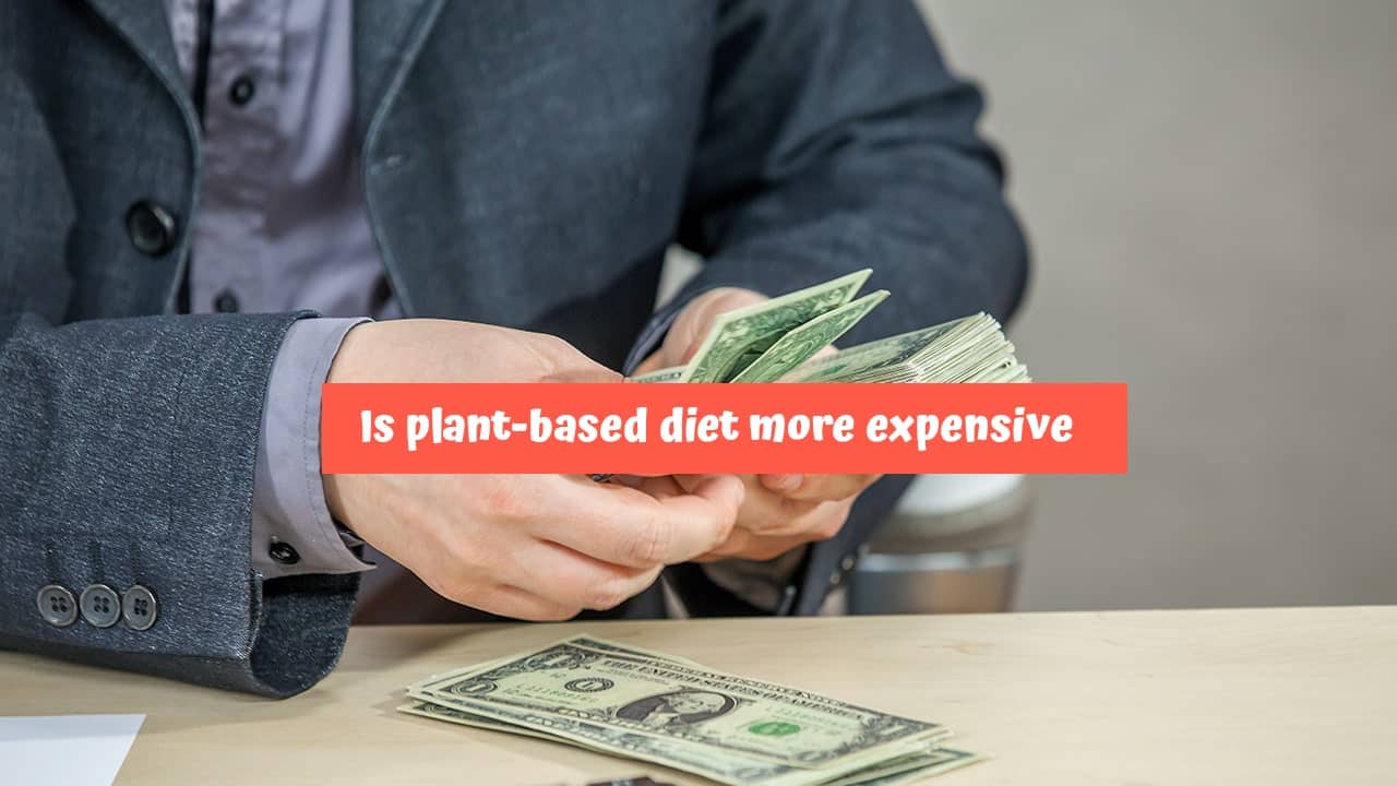 Is plant-based diet more expensive