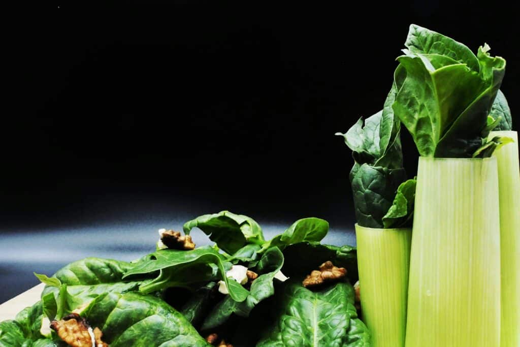 What is a plant based diet plan?