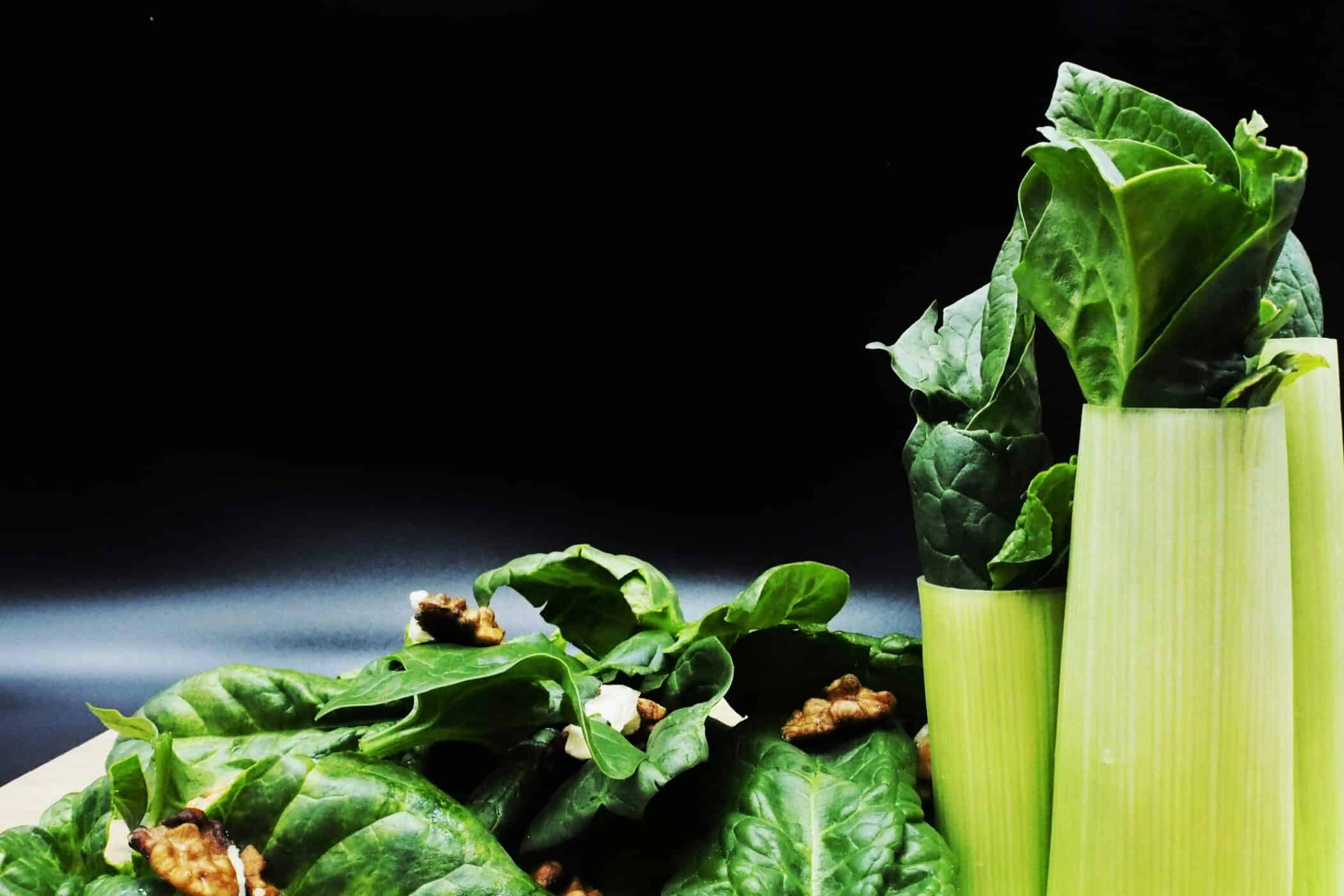 What is a plant based diet plan?