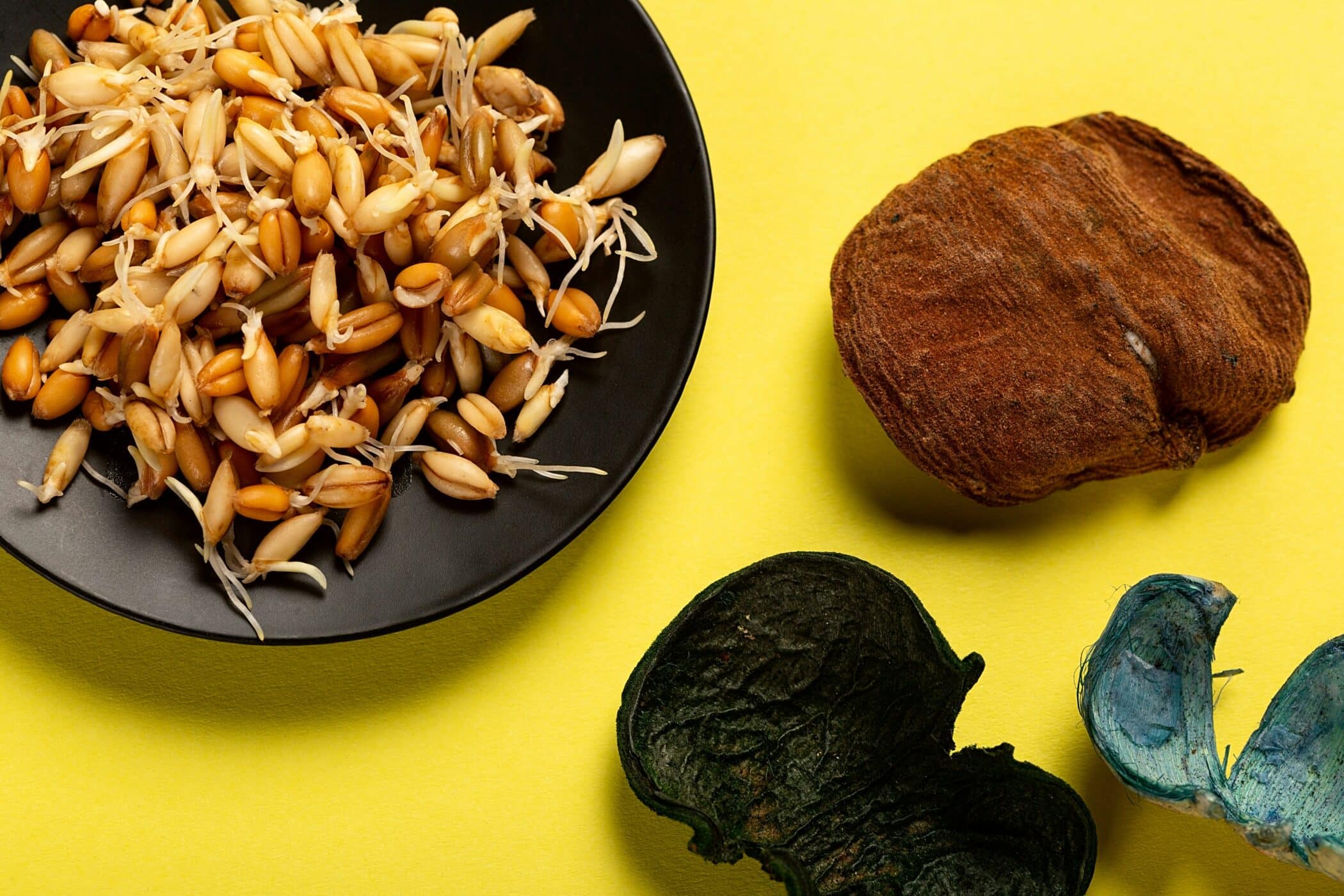 How High-Protein Meals Can Help You Shed Pounds
