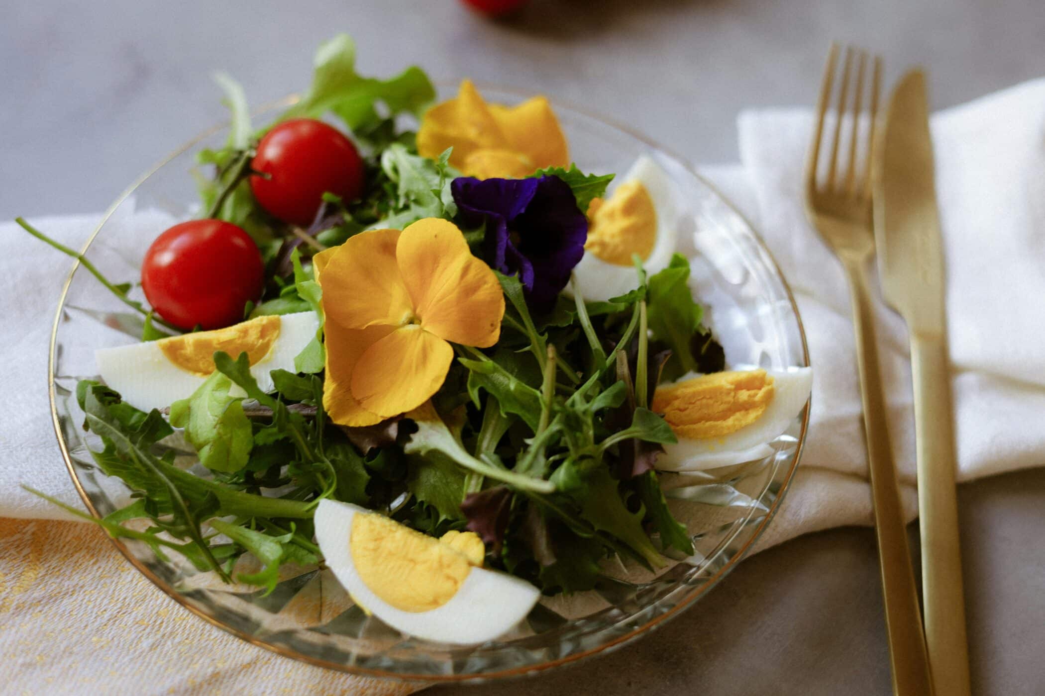 Delicious and Nutritious Plant-Based Meal Ideas