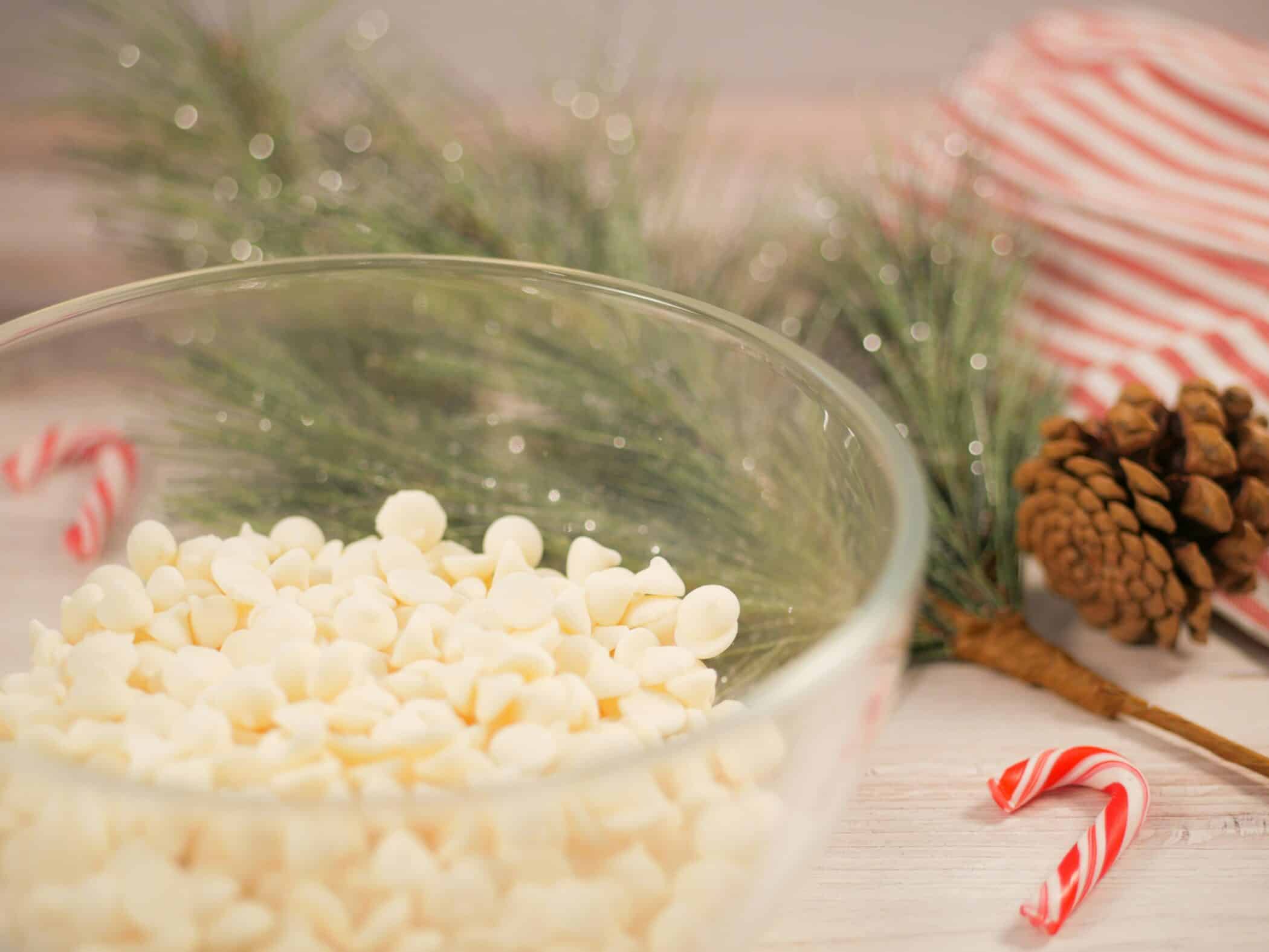 Holidays with Granulated Sugar Substitutes