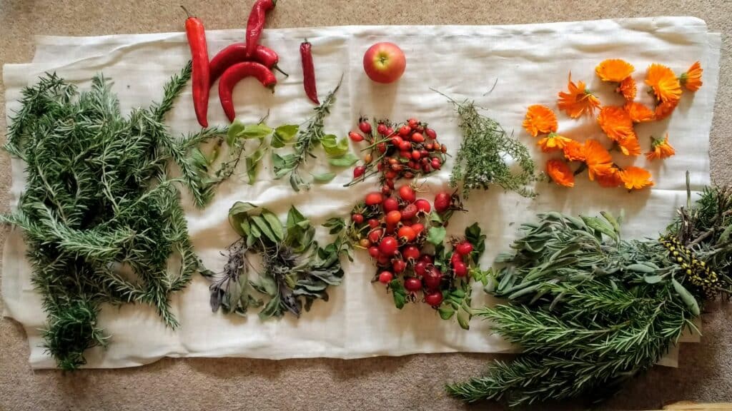 Cooking with December Seasonal Produce