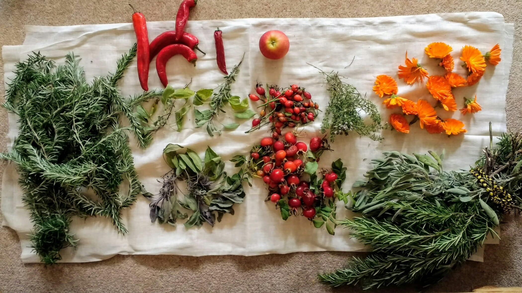 Cooking with December Seasonal Produce
