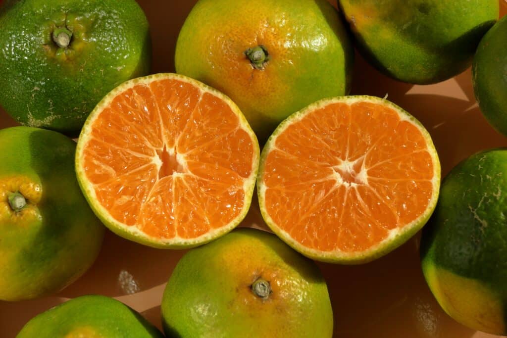 Citrus Fruit Recipes for Your Immune System