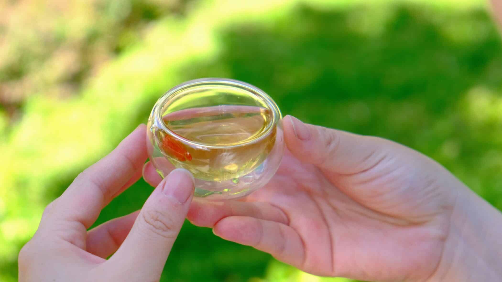 Wellness Shots: Tiny Bottles, Big Benefits