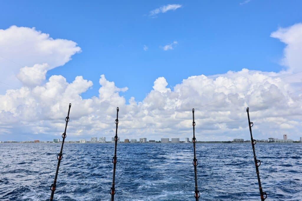 Pescatarian Living: Miami’s Perfect Match