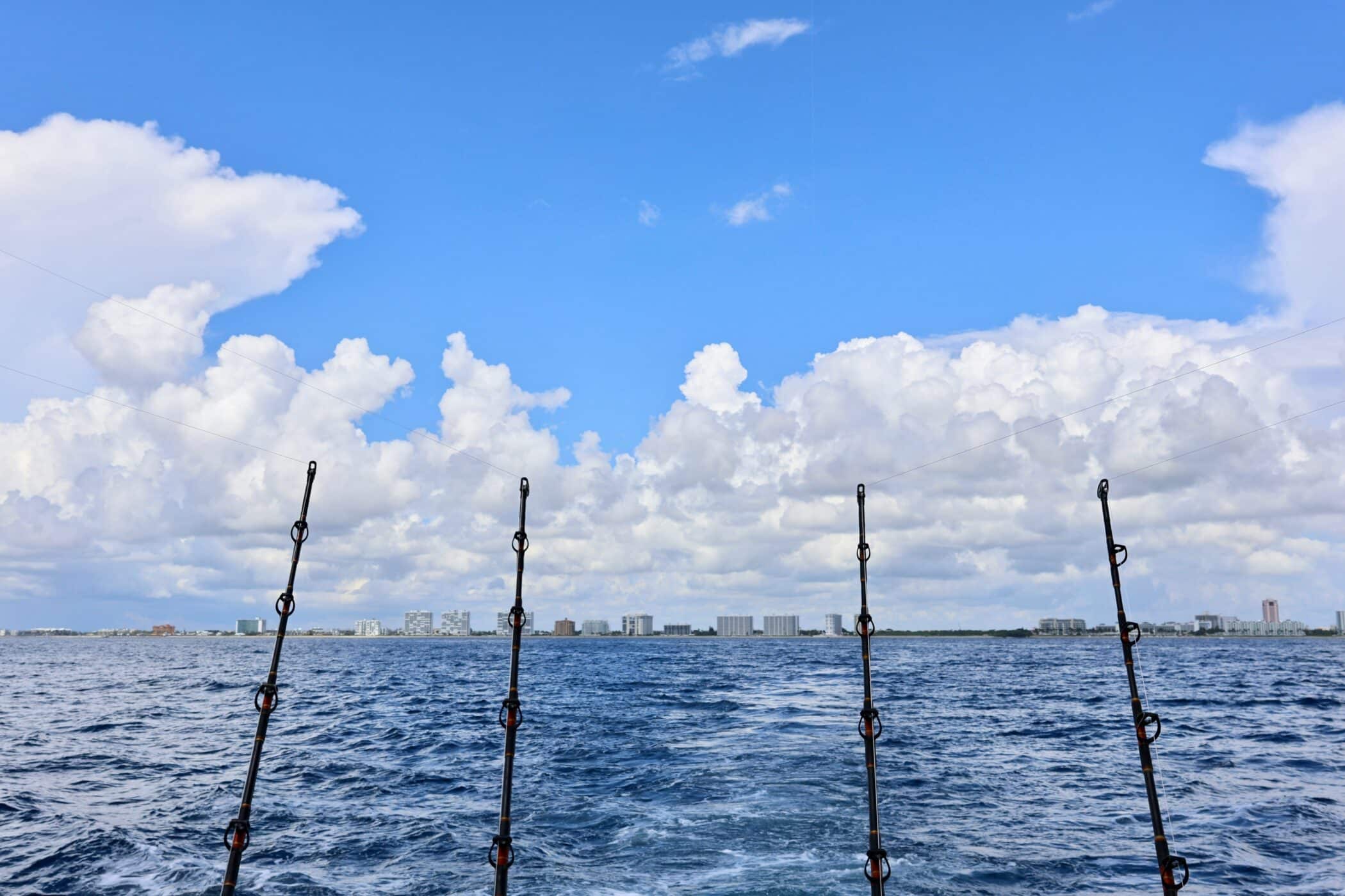 Pescatarian Living: Miami’s Perfect Match
