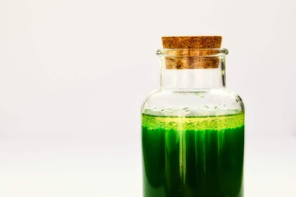 Chlorophyll Shots