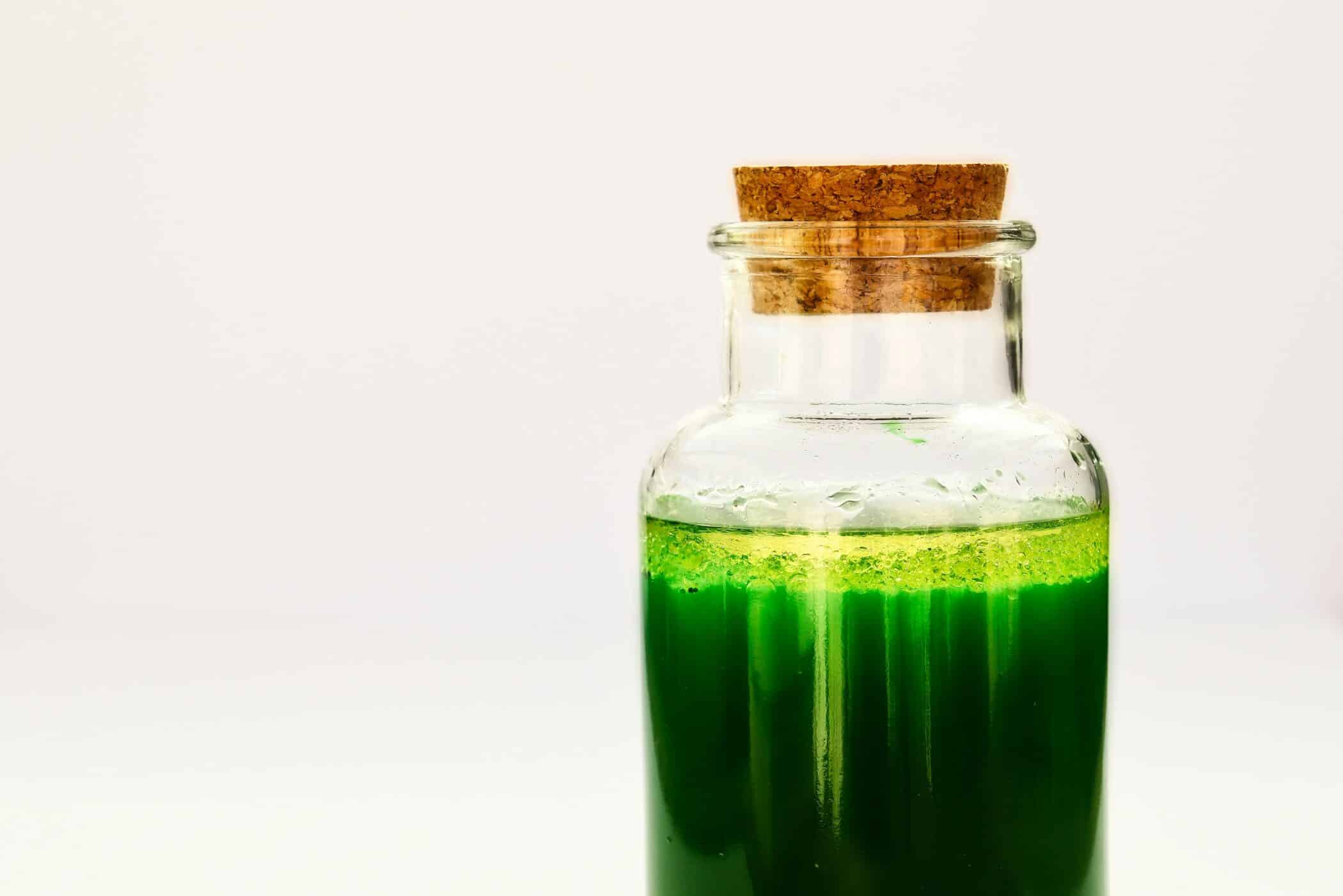 Chlorophyll Shots