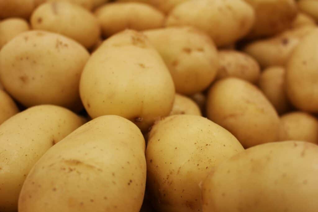 Potatoes vs Rice for Muscle Growth