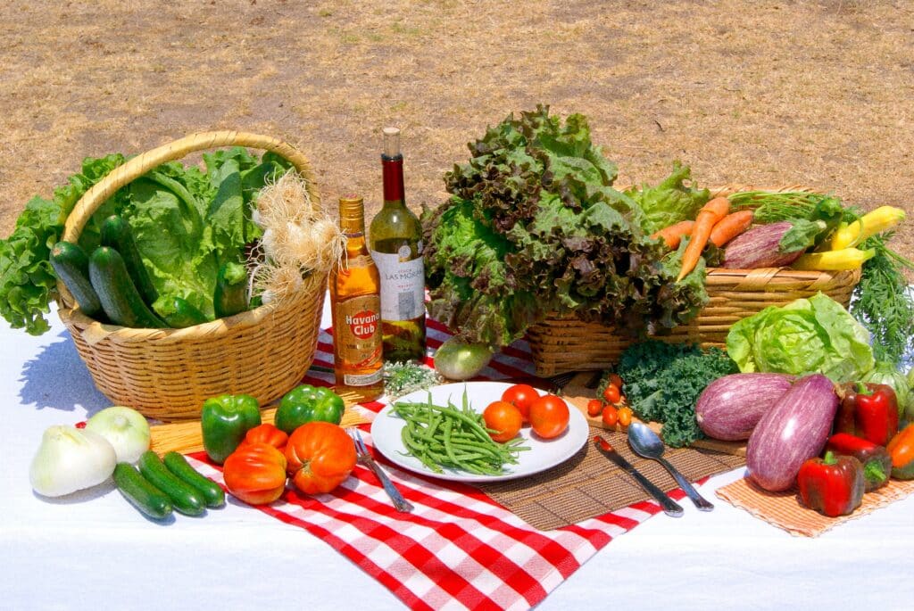 Best Farm-to-Table Ingredients Meal Prep 